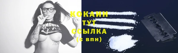 сатива Киренск