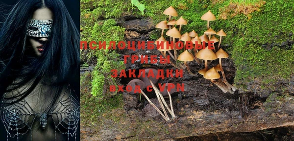 мескалин Киреевск