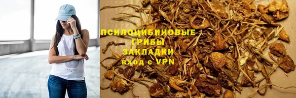 сатива Киренск